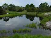 Enlarge photo 87