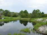 Enlarge photo 88