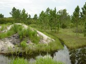 Enlarge photo 89