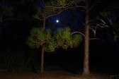 Enlarge photo 152