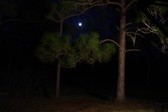 Enlarge photo 151
