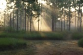 Enlarge photo 149