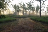 Enlarge photo 148