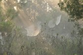 Enlarge photo 144