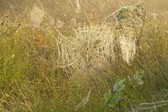 Enlarge photo 143