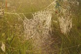 Enlarge photo 142