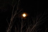 Enlarge photo 162