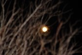 Enlarge photo 163