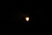 Enlarge photo 164
