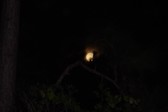 Enlarge photo 165
