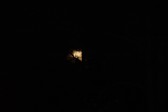 Enlarge photo 166