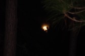 Enlarge photo 167
