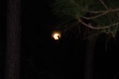 Enlarge photo 168