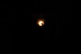 Enlarge photo 169