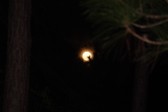 Enlarge photo 170