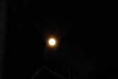 Enlarge photo 171