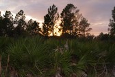 Enlarge photo 181