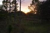 Enlarge photo 182