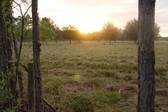 Enlarge photo 183