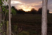 Enlarge photo 184