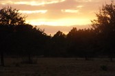 Enlarge photo 185