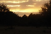 Enlarge photo 186