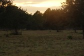 Enlarge photo 187