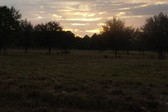 Enlarge photo 188