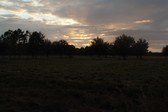 Enlarge photo 189