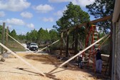 Enlarge photo 225