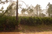 Enlarge photo 246