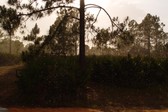 Enlarge photo 247