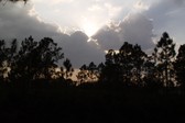 Enlarge photo 251