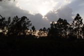 Enlarge photo 252