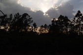 Enlarge photo 253