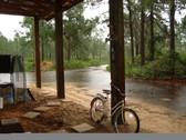 Enlarge photo 276