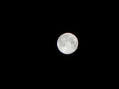 Enlarge photo 299