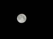 Enlarge photo 301