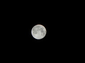 Enlarge photo 300