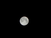 Enlarge photo 305