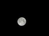 Enlarge photo 303