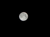 Enlarge photo 304