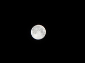 Enlarge photo 302