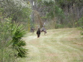 Enlarge photo 306