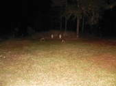 Enlarge photo 328