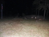 Enlarge photo 330