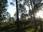 Enlarge photo 353