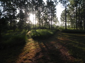 Enlarge photo 360
