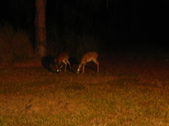 Enlarge photo 361