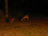 Enlarge photo 401